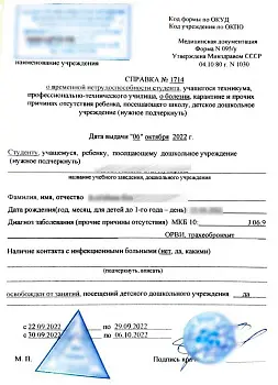 Купить справку 095у для учащихся